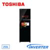 Tủ lạnh Toshiba 253 Lít Inverter GR-B31VU (SK) (2 cửa)