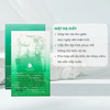Mặt nạ giấy Axis-Y Mugwort Green Vital Energy Complex Sheet Mask
