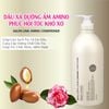 Dầu Gội - Xả Nhật Salon Link Amino Chuyên Dùng Cho Tóc Khô Hư Tổn, Uốn, Nhuộm