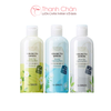 Nước Tẩy Trang Chiết Xuất Từ Các Loại Lá Trà The Saem Healing Tea Garden Cleansing Water 300ml