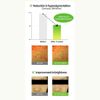Kem dưỡng Nature Republic Vitapair C Dark Spot Cream 50ml