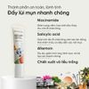 Kem chấm mụn Skin Heritage Cửu Long 19ml