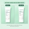 Kem Chống Nắng Caryophy Smart Tone Up Sunscreen 50ml