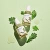 Tinh chất Round Lab Mugwort Calming Serum 50ml