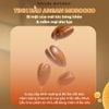 Dầu gội/xả Nature Republic Argan Essential Deep Care 300ml
