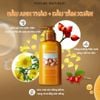 Dầu gội/xả Nature Republic Argan Essential Deep Care 300ml