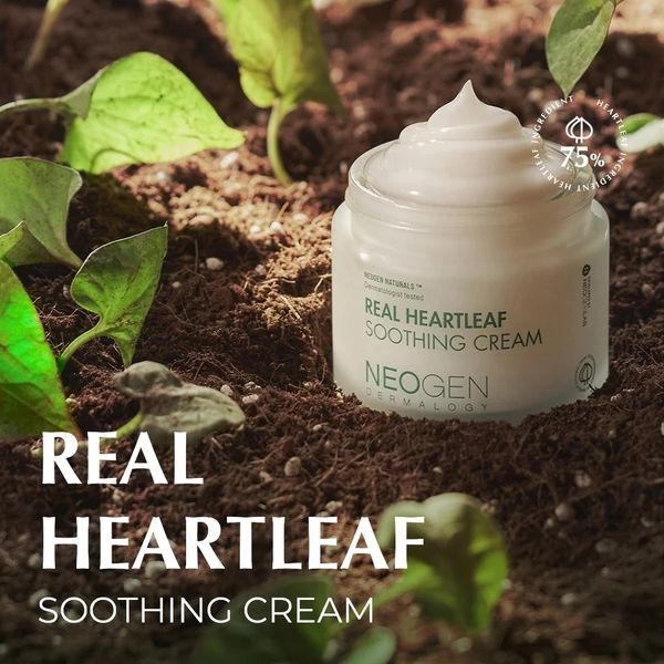 Kem dưỡng Neogen Dermalogy Real Heartleaf Soothing Cream 80g