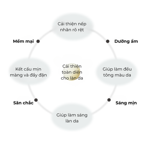 Tinh Chất Dưỡng Serum Kanebo Fusion-ing Solution