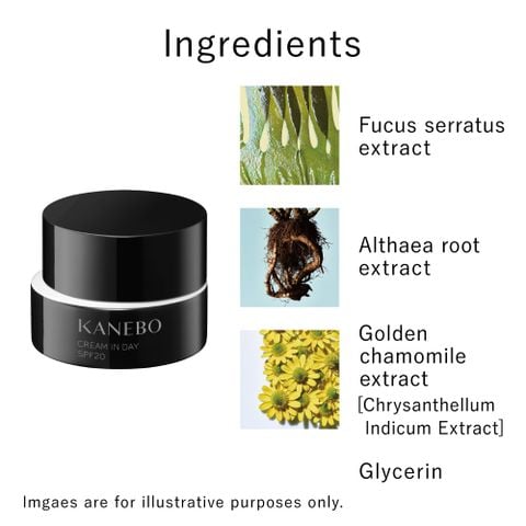 Kem dưỡng ban ngày Kanebo Cream In Day SPF 20 / PA +++