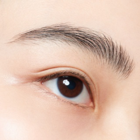 Chuốt Lông Mày Kanebo Clear Eyebrow Fixer