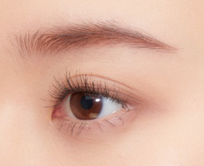Chì Kẻ Mày Kanebo Eyebrow Shade Pencil