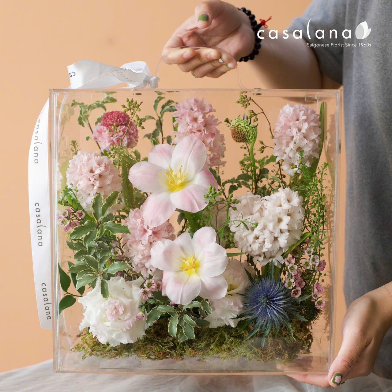  Hộp Vali Tulip x Dạ Lan Hương_Pink 8/3 