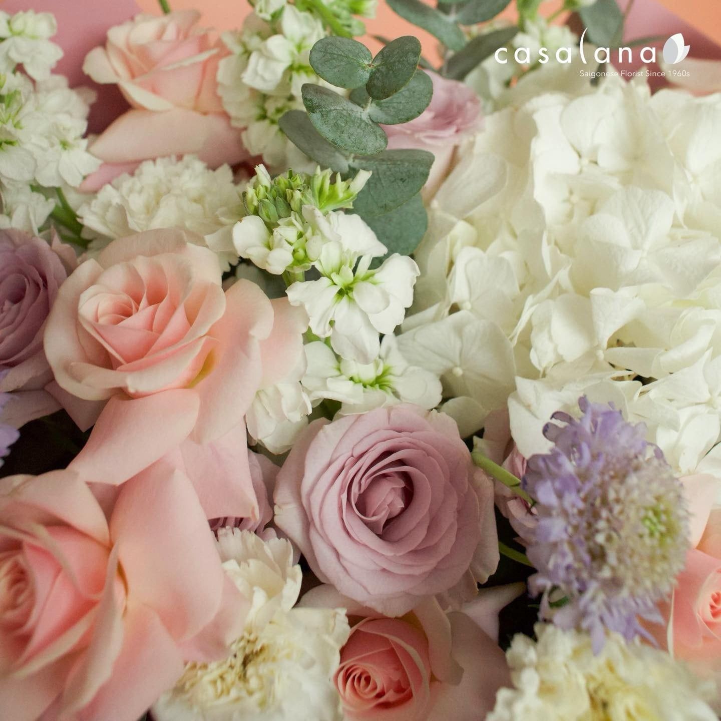  Bó Cẩm Tú Cầu Trắng Mix Tone Tím Hồng 