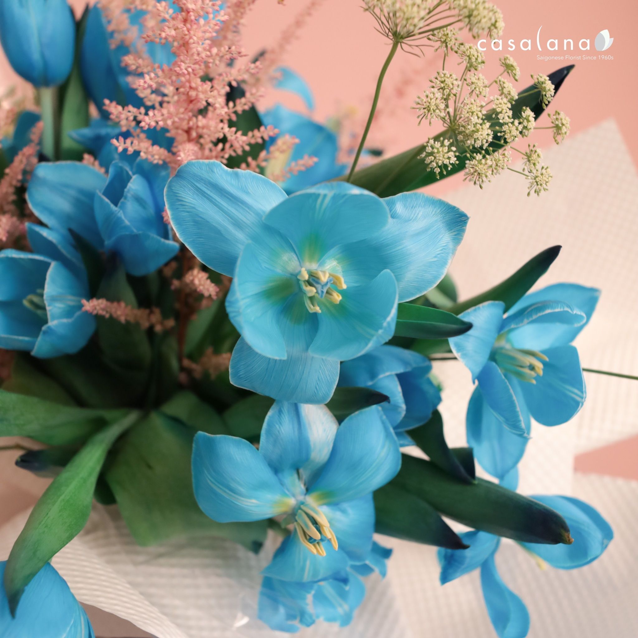  Tulip 20 Blue Mix 