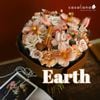  Bó hoa Earth 1 