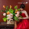  The Dreamer Bloom_2010 