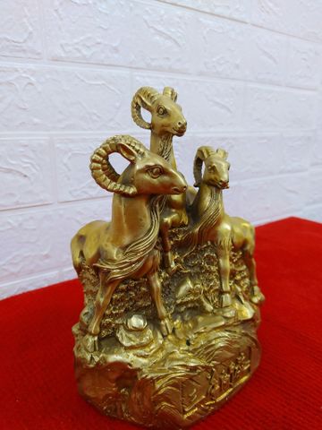 Hình ảnh mô tả