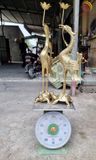 Bộ ngũ sự đồng cát tút hoạ tiết Rồng cao 70cm