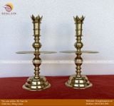 Tam sự nến cactut 50cm hoa sòi