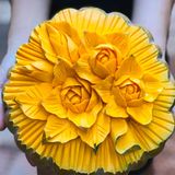 Bí đỏ tỉa hoa nghệ thuật V1