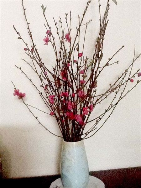 Cành hoa đào – Comida Ngon