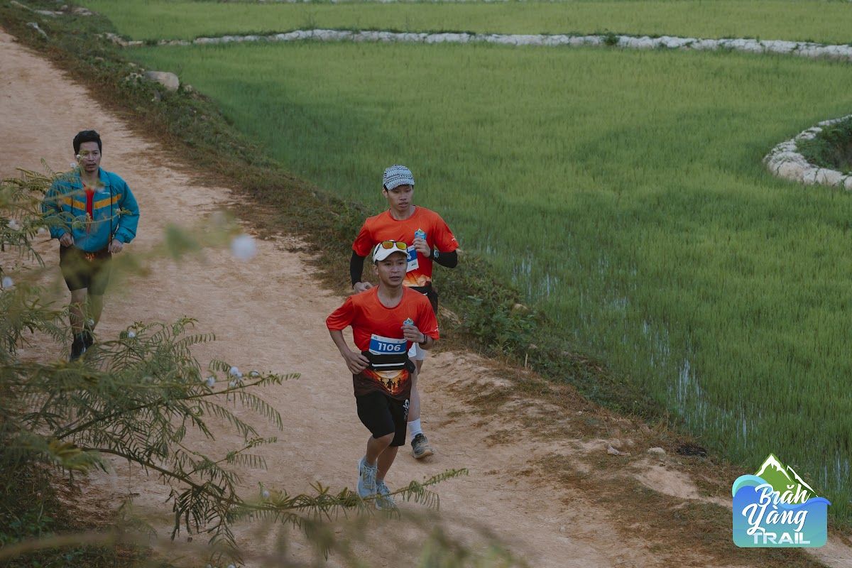  TWH_8968.jpg 