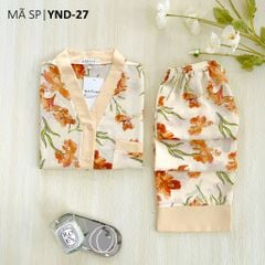 Đồ bộ mặc nhà, đồ ngủ, Pijama nữ Lụa TNQD Satino cổ Y - Mira Cream