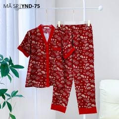 Pijama lụa mango mềm mại, không nhăn Satino TNQD cổ Y- Jadie Red Wine