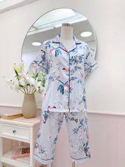 Pijama Lụa latin mềm mại, sang trọng Satino TNQL - Parrot Blue Gray