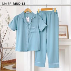 Đồ bộ mặc nhà, đồ ngủ Pijama nữ lụa màu trơn TNQD Satino - Blue