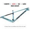 Khung Sườn Xe Đạp Mtb Bigrock Carbon 29 Xanh Ngọc