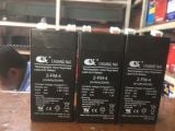  Ắc quy cân điện tử- đèn sạc 4V-4Ah / CHUANG NAI 2-FM-4 