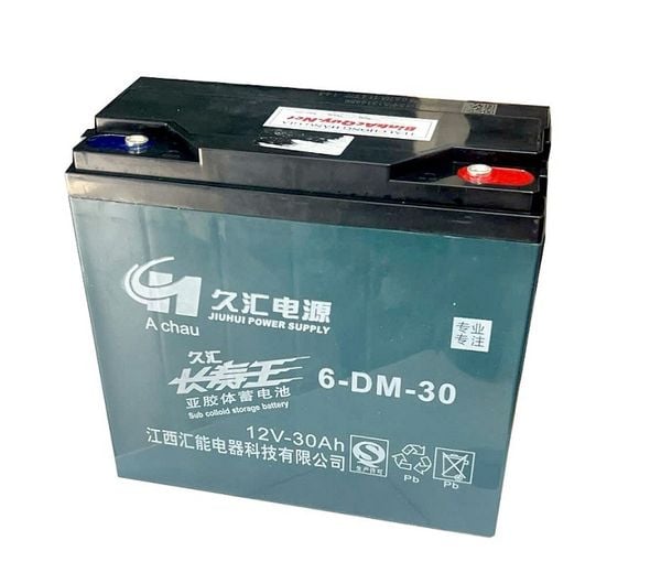  Bình Ắc Quy Xe Máy điện Cửu Hội 6-DM-30 (12V-30Ah) 