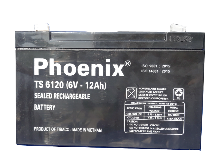  Bình ắc quy Phoenix 6V-12AH | Mã TS 6120 