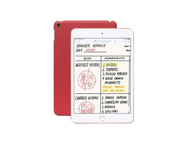  iPad Mini 3G (2019) - Dán da 
