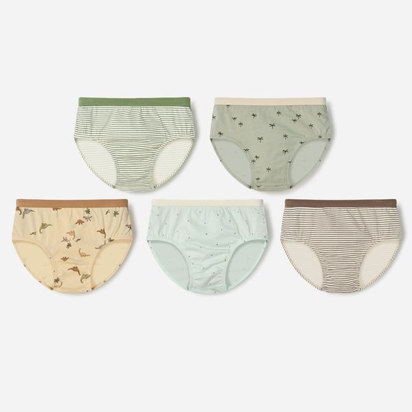 Set 5 quần chip tam giác bé trai U6056