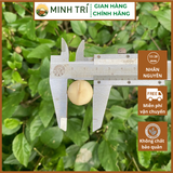  MT - Nhân MC Nguyên 500g 