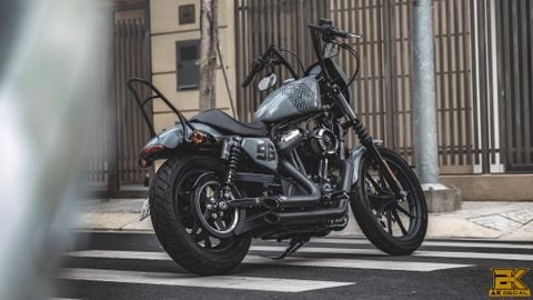 HARLEY DAVIDSON IRON 1200 - 003 wrap grey