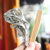 Palo Santo (Gỗ Trắc Xanh) - Búp xô