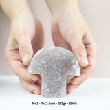 Hốc đá thạch anh tím hình nấm dễ thương, năng lượng bình yên, trang trí không gian sống - amethyst cluster