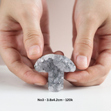 Hốc tinh thể thạch anh tím hình nấm dễ thương - amethyst cluster
