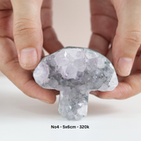 HỐC TINH THỂ THẠCH ANH TÍM HÌNH NẤM DỄ THƯƠNG - AMETHYST CLUSTER