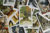 Bộ bài the wild wood tarot (có sẵn)