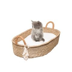 NÔI CHO PUPPY & KITTEN