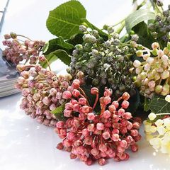 CÀNH CẨM TÚ CẦU NỤ