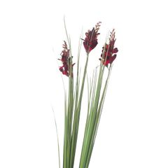 CÀNH ĐỖ QUYÊN CỎ NHỰA ĐỎ