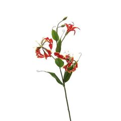 CÀNH HOA MÓNG RỒNG MÀU ĐỎ