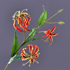 CÀNH HOA MÓNG RỒNG MÀU ĐỎ