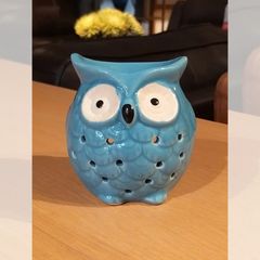 ĐÈN XÔNG TINH DẦU ĐỐT NẾN HÌNH CÚ MÀU XANH