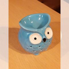 ĐÈN XÔNG TINH DẦU ĐỐT NẾN HÌNH CÚ MÀU XANH